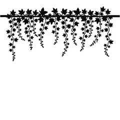 Black silhouette of hanging ivy vines with leaves vector