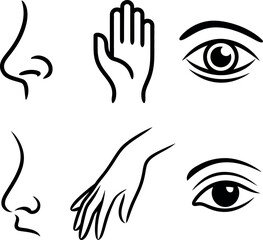 Human Body Parts Line Art Face Hand Eye Details Anatomy Illustration