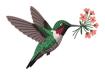 Obraz premium Hummingbird with Flower Bouquet Vector Illustration