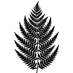 fern vector icon on white background