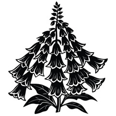 foxglove vector on white background © Tanusree
