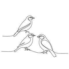 Line art illustration of three birds perched together with copy space
