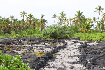 Part of the 1871 Trail in Pu’uhonua O Honaunau