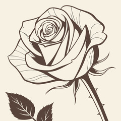 Elegant Hand Drawn Rose Blossom Delicate Botanical Rose with Leaves