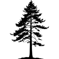 Isolated black pine tree silhouette vector graphic design illustration