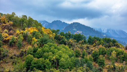 Obraz premium mountain landscape with trees