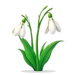 Spring flowers, lily of the valley in a pot, snowdrops plant	
