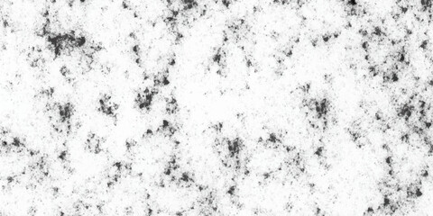 Chaotic grunge ink particles. Abstract texture with grain and stain. Art rough stylized texture banner, wallpaper. Backdrop with spots, cracks, dots, chips. Monochrome print
