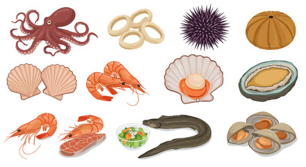 Assorted seafood octopus rings urchins scallops shrimp eel clams and abalone are showcased © G Factory
