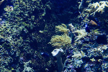 Views of the Singapore Oceanarium