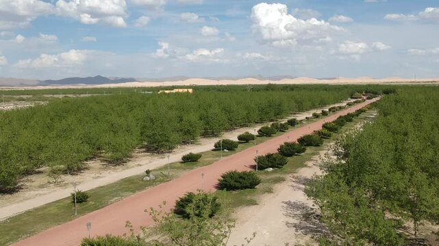 NOGALERAS CHIHUAHUA MEXICO HUERTAS DE NUECES