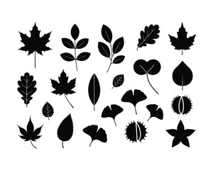 Collection of various leaf silhouettes showcasing diverse shapes and textures of foliage in a simple black design