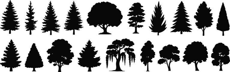 Tree silhouettes, black botanical shapes, coniferous and deciduous trees, forest symbols, willow tree, nature icons, foliage forms, vector graphics © Hey this is Tazim