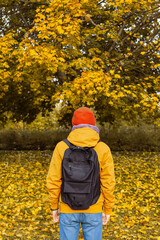 Person In Orange Jacket Looking At Autumn Tree