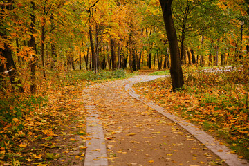Curved Autumn Park Path Surrounded By Golden Trees