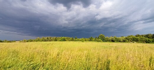 Landscape with thundercloud over green field. Storm clouds above summer field