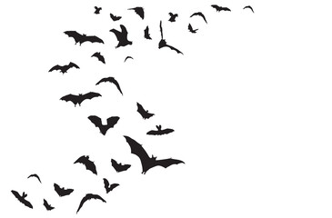 Flying bats in the nightsky