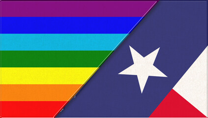 Flags of LGBT and Texas. LGBT and Texas official flags