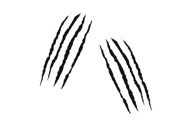 Twin claw scratch marks with jagged slashes in black. Animal-inspired ripped effect for tattoos, decals, and graphic design. Symbol of wild power, aggression, and beast energy.