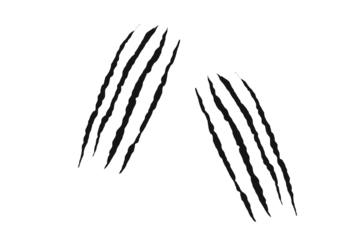 Twin claw scratch marks with jagged slashes in black. Animal-inspired ripped effect for tattoos, decals, and graphic design. Symbol of wild power, aggression, and beast energy.