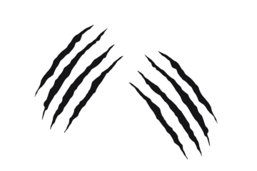 Twin claw scratch marks with jagged slashes in black. Animal-inspired ripped effect for tattoos, decals, and graphic design. Symbol of wild power, aggression, and beast energy.