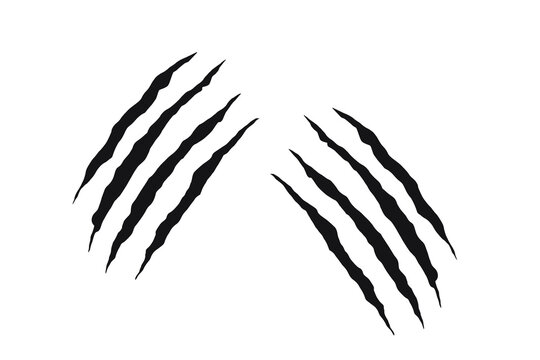 Twin claw scratch marks with jagged slashes in black. Animal-inspired ripped effect for tattoos, decals, and graphic design. Symbol of wild power, aggression, and beast energy.