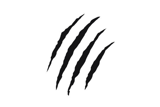 Black claw scratch mark design with four jagged slashes. Wild animal claw tearing effect for tattoos, decals, or graphic art. Symbol of strength, aggression, and primal power.