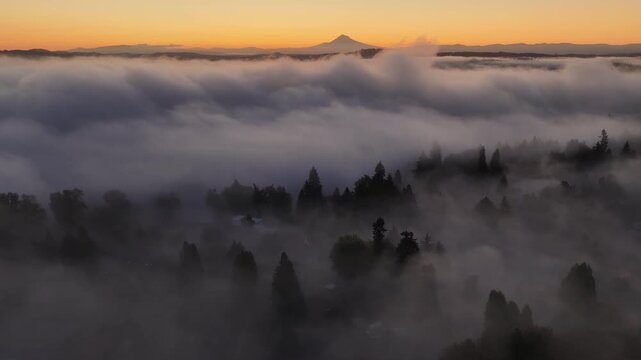 Dawn illuminates fog drifting through the forests found throughout the Willamette Valley in Oregon. The entire Pacific Northwest region is known for its vast forests and moist, temperate weather.