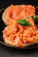 sandwich salmon smoked fish open sandwich delicious fresh portion size natural product tasty snack fresh delicious gourmet food background on the table rustic top view copy space pescetarian diet