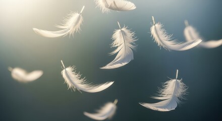 Weightless feather floating gently in sunlight on blurred soft background. Weightless feather concept emphasizes serenity and lightness.