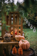 Decorative autumn display featuring pumpkins and string lights in a cozy outdoor setup