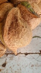 Fresh coconuts with husk, and market stall.