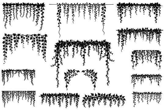 Black silhouette hanging vines and leaf borders vector