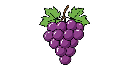 Cartoon Purple Grapes Bunch with Green Leaves Illustration.