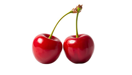 Two ripe red cherries with stems fruit food