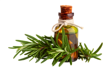Amber liquid in corked bottle with rosemary sprigs isolated on a transparent background