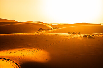 Shadows on the sand at golden hour, Merzouga Dunes, Sahara Desert, Morocco