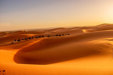 Riding camels on the Merzouga Dunes, Sahara Desert, Morocco