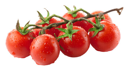 Fresh Tomatoes on the Vine isolated on white background