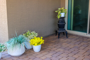 Plants And Pot Belly Stove On Back Patio