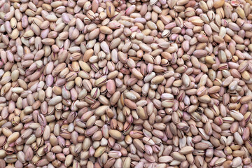 Heap of raw pistachio nuts in shells, natural dried snack.	
