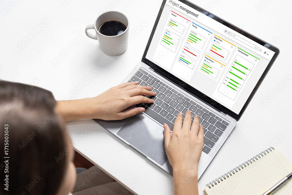 Poster project planning software for brisk business project management on the computer screen showing timel