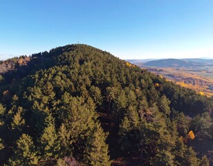 Panoramic view of a forested hilltop