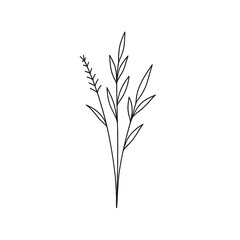 Linear illustration of herbs composition on a white background with copy space