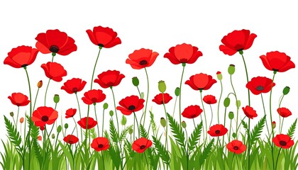 Obraz premium Red poppies in a grassy field
