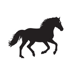 horse silhouette vector white background 
