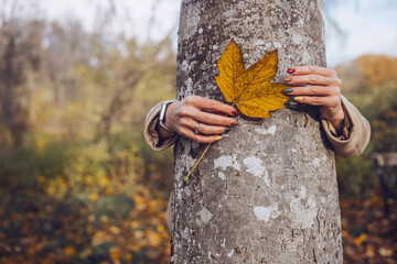 A person holding a yellow leaf close to a tree in a serene autumn forest setting