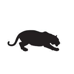 Black Panther silhouette vector on white background 