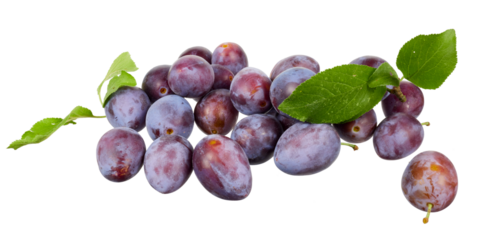 pile of fresh plums isolated on white or transparent png