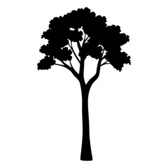 Dramatic silhouette of a tall, broad tree with dense leaves and branches